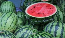 新疆男网红吃瓜,揭秘瓜界风云人物